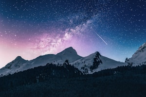自然纪录片动漫封面 - 野生动物森林生活场景